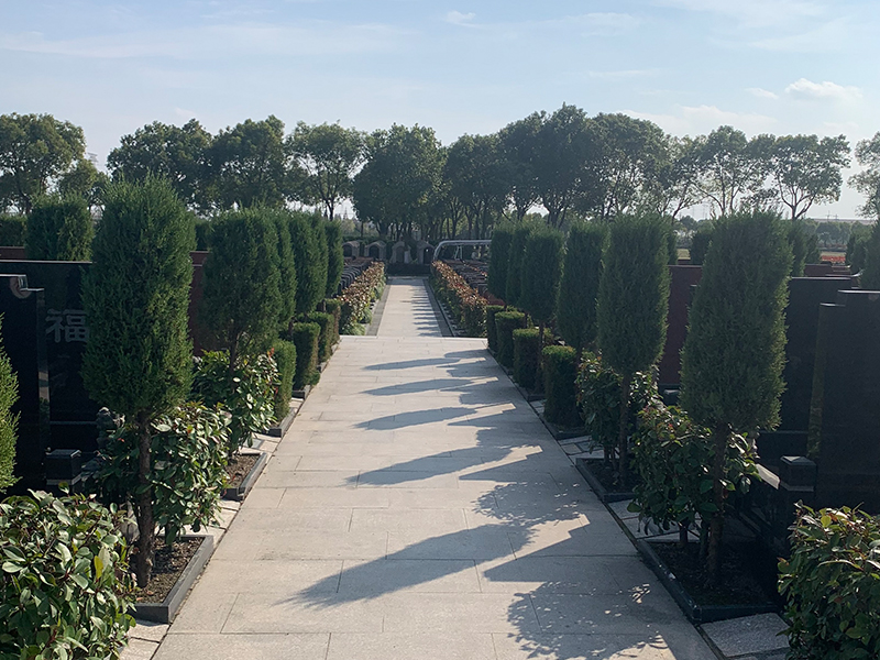 购墓看风水是否很有必要