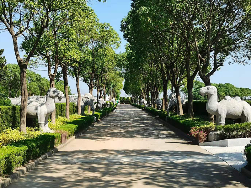 公墓墓地选择的基本常识