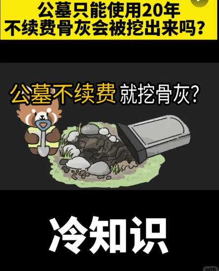 公墓只能使用20年，不续费骨灰会被挖出来？