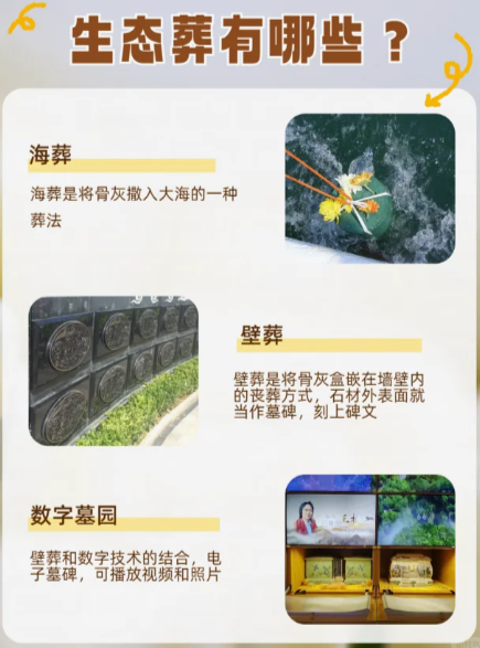 生态葬是什么?海葬、树葬、花坛葬、草坪葬